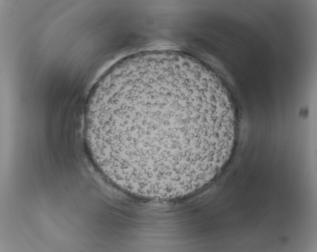 X0000113061220200910091135