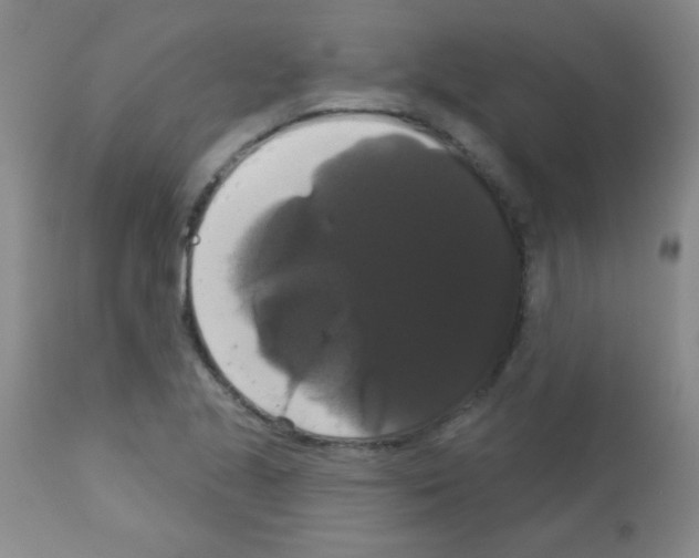 X0000113061221200910091135