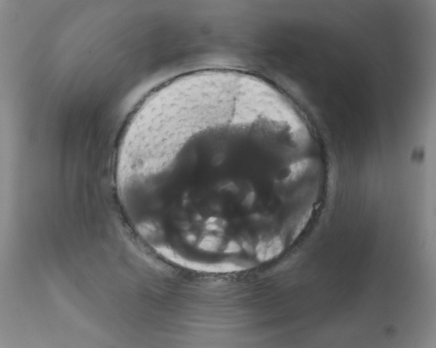 X0000113061222200910091135