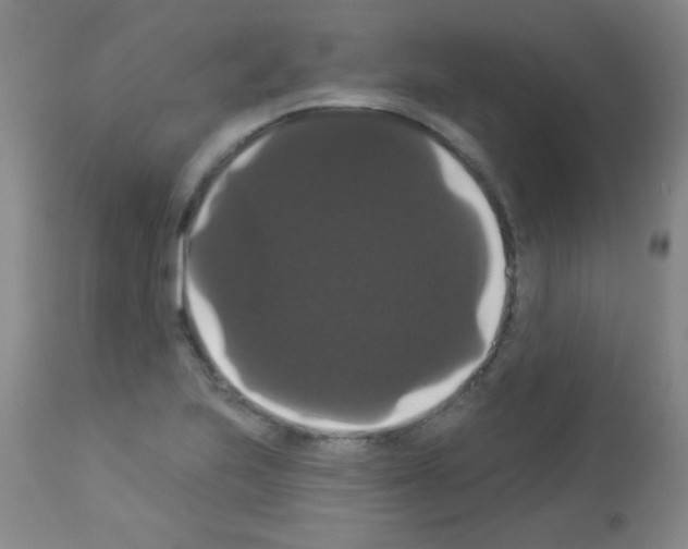 X0000113061223200910091135