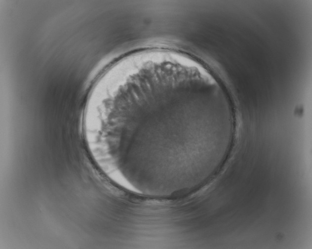 X0000113061224200910091135