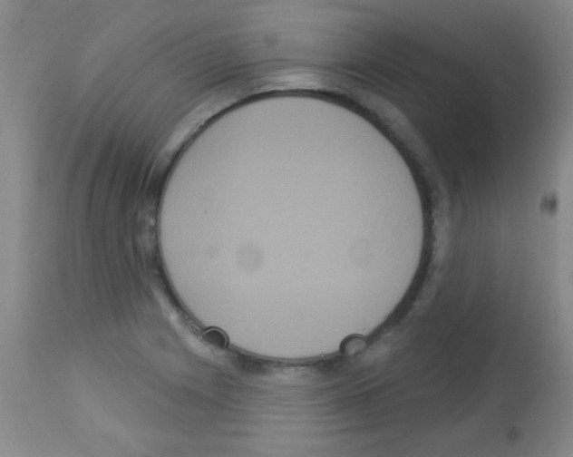 X0000113061225200910091135