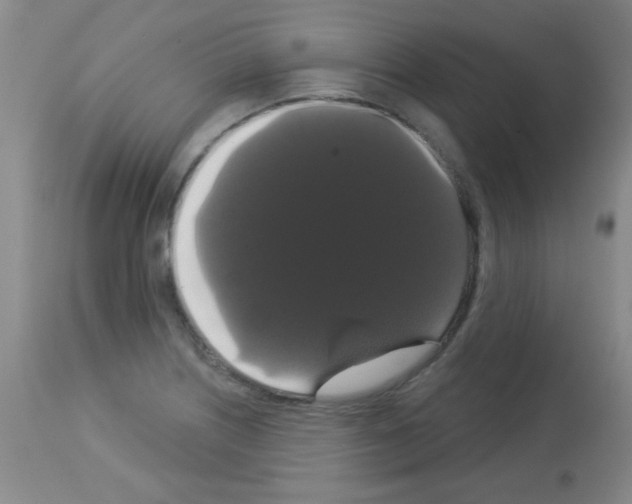 X0000113061226200910091135