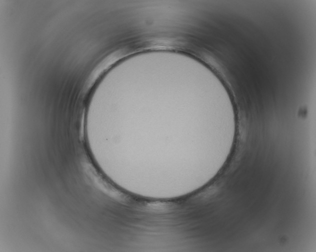 X0000113061227200910091135