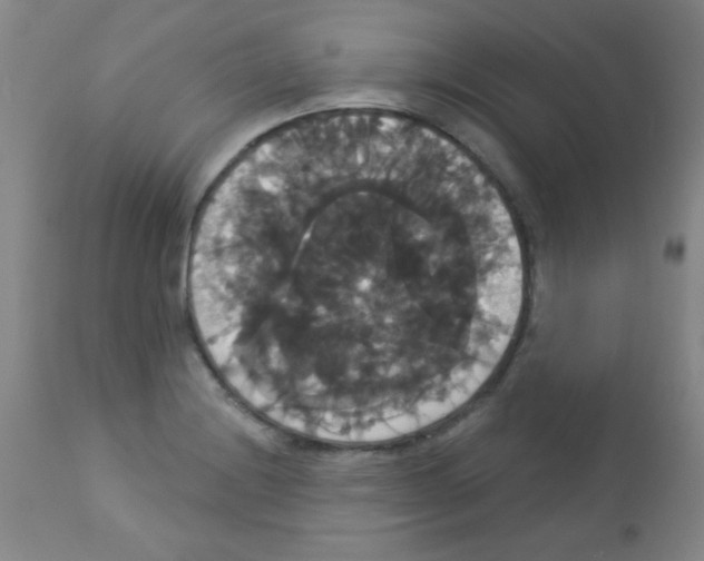 X0000113061228200910091135