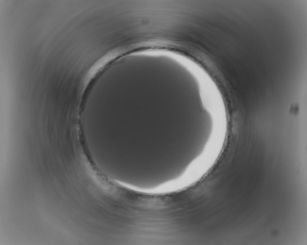 X0000113061229200910091135