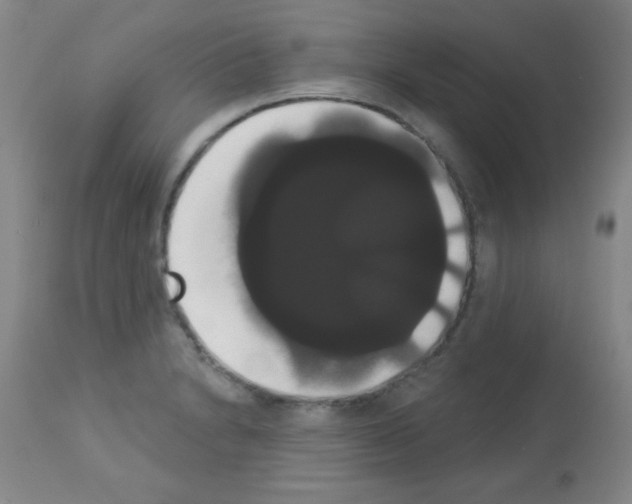 X0000113061230200910091135