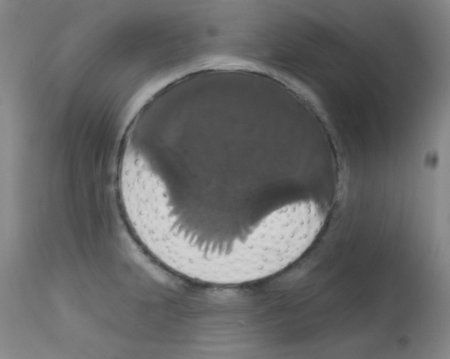 X0000113061231200910091135