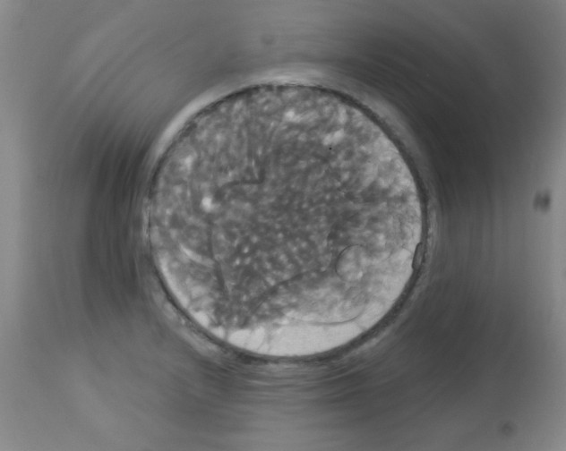 X0000113061232200910091135