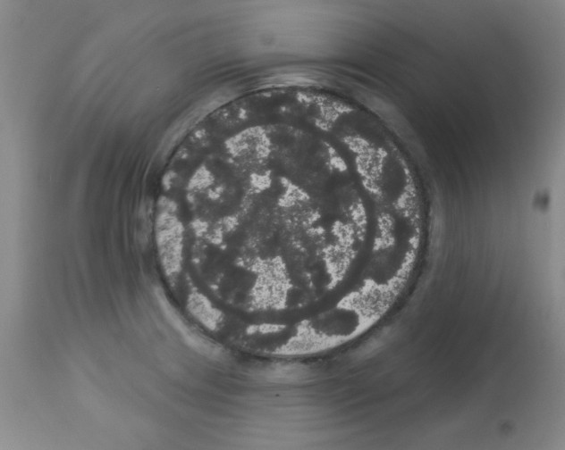 X0000113061233200910091135
