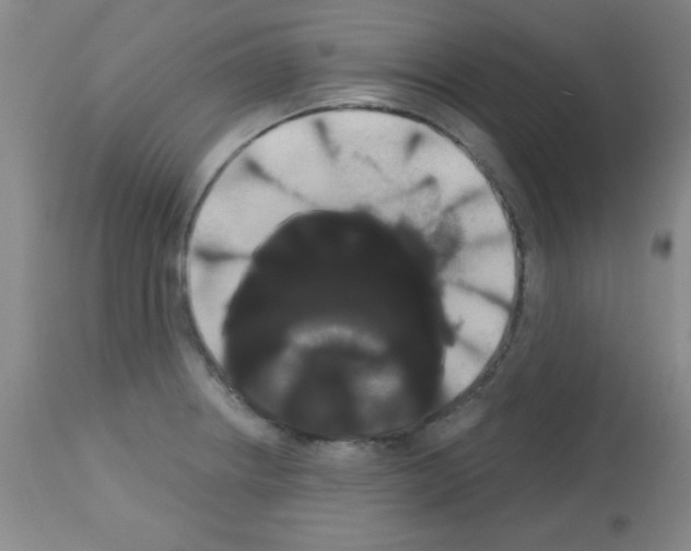 X0000113061234200910091135