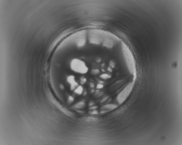 X0000113061235200910091135