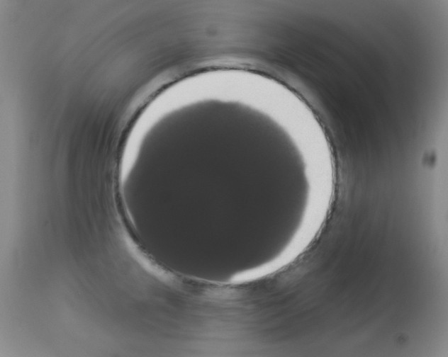 X0000113061237200910091135