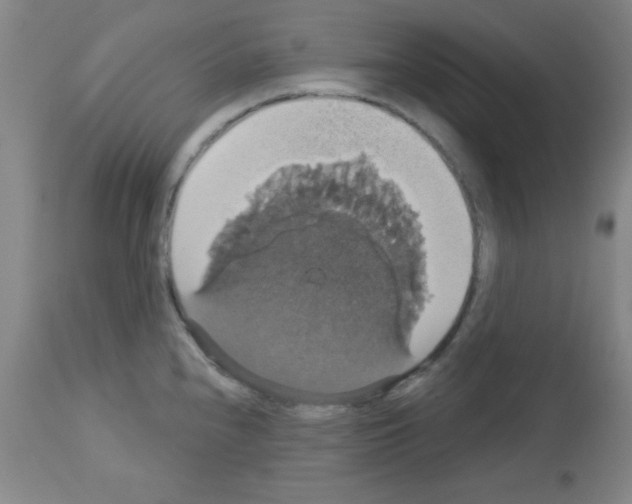 X0000113061240200910091135