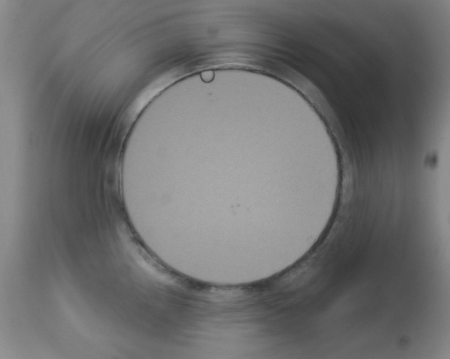 X0000113061242200910091135