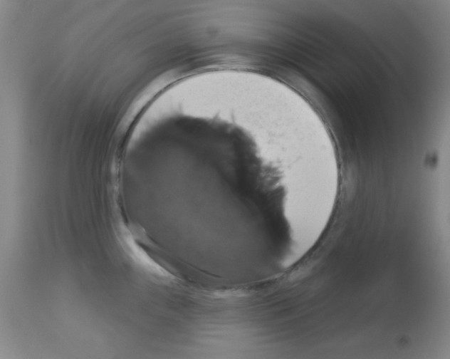 X0000113061243200910091135