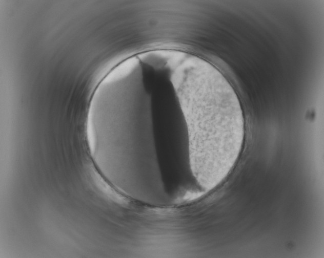 X0000113061244200910091135