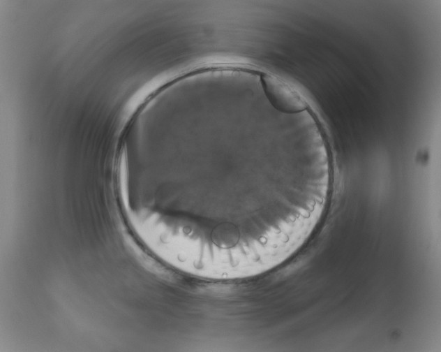 X0000113061245200910091135