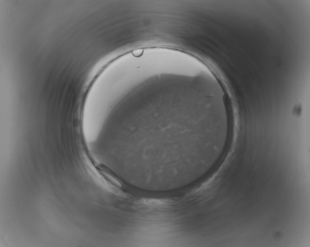 X0000113061246200910091135