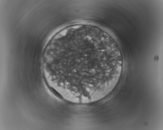 X0000113061247200910091135