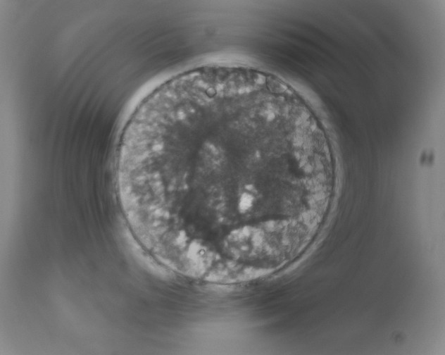 X0000113061248200910091135