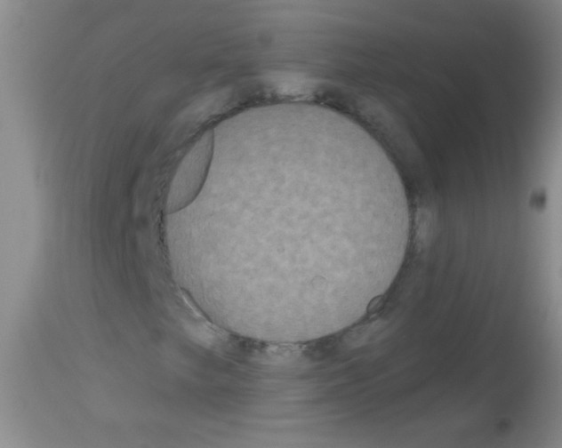 X0000113061249200910091134