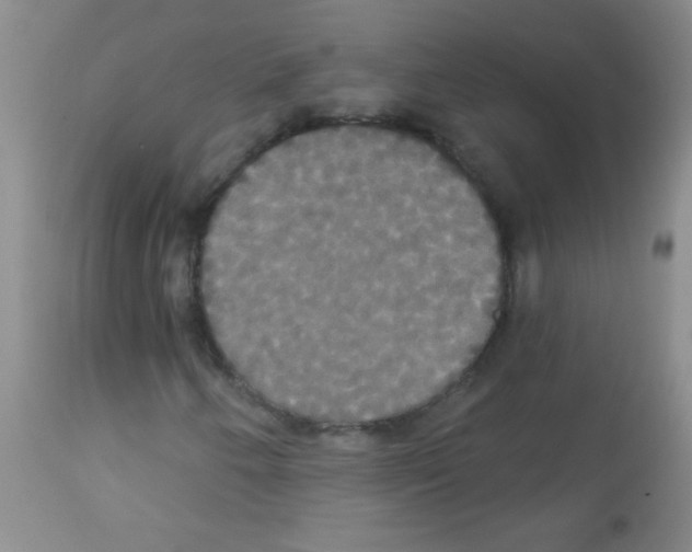 X0000113061250200910091134
