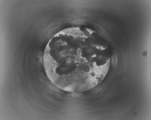 X0000113061251200910091134