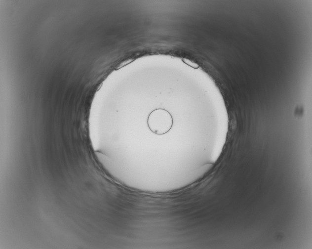 X0000113061252200910091134