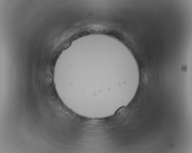 X0000113061253200910091134