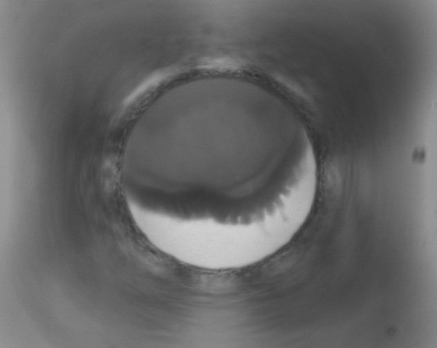 X0000113061254200910091134