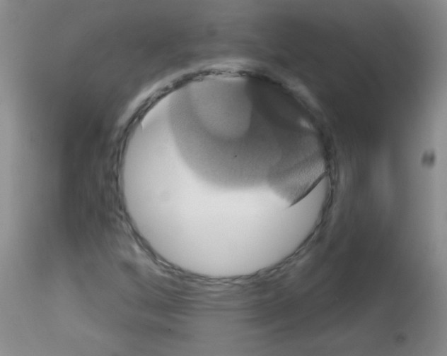 X0000113061256200910091134
