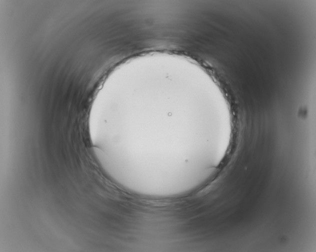 X0000113061257200910091134