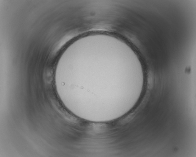 X0000113061258200910091134