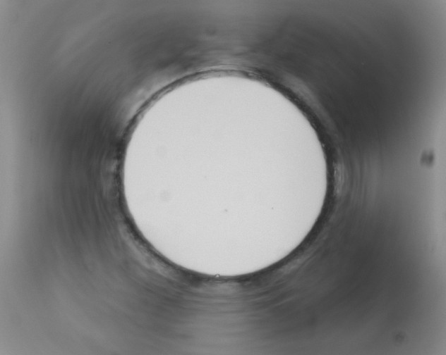 X0000113061260200910091134