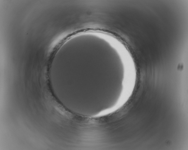 X0000113061263200910091134