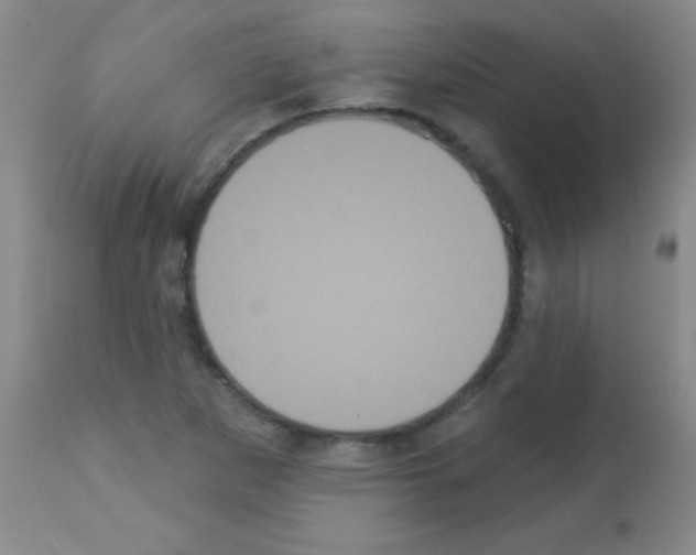 X0000113061265200910091134