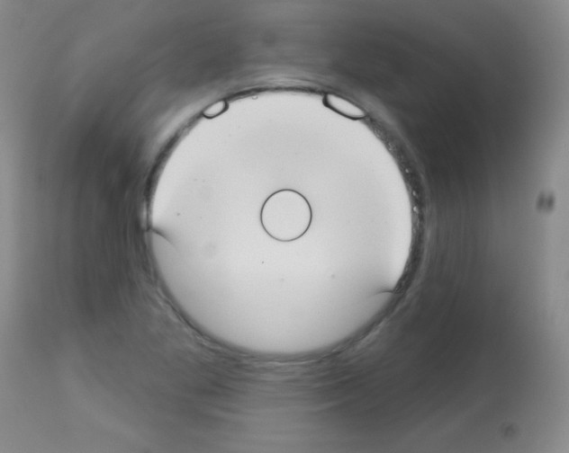X0000113061269200910091134
