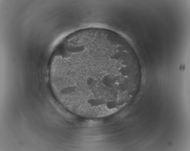 X0000113061271200910091134