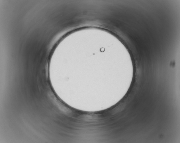 X0000113061272200910091134