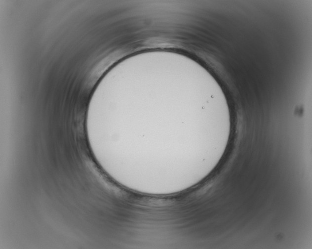 X0000113061273200910091134