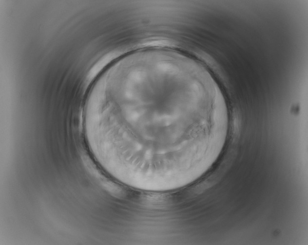 X0000113061274200910091134