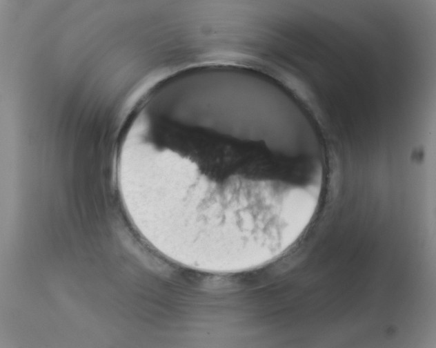 X0000113061275200910091134