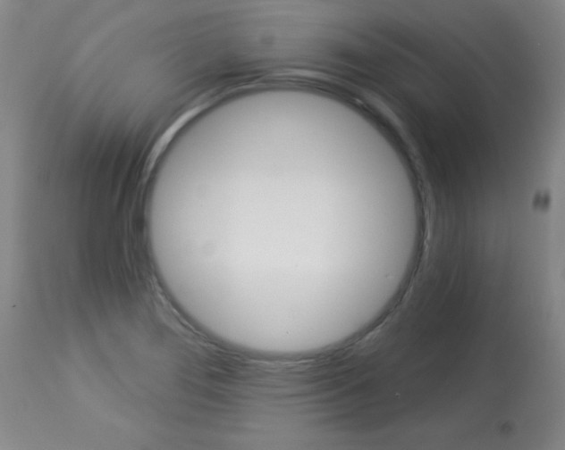 X0000113061276200910091134