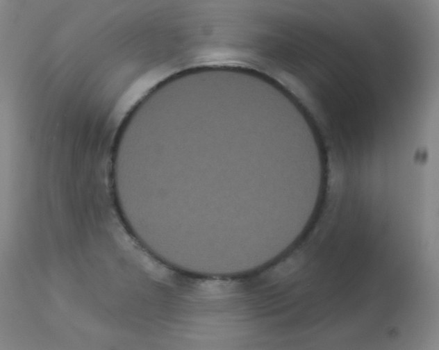 X0000113061277200910091134