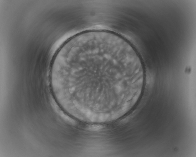 X0000113061278200910091134