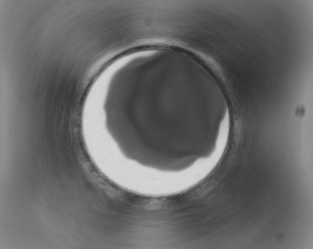 X0000113061279200910091134