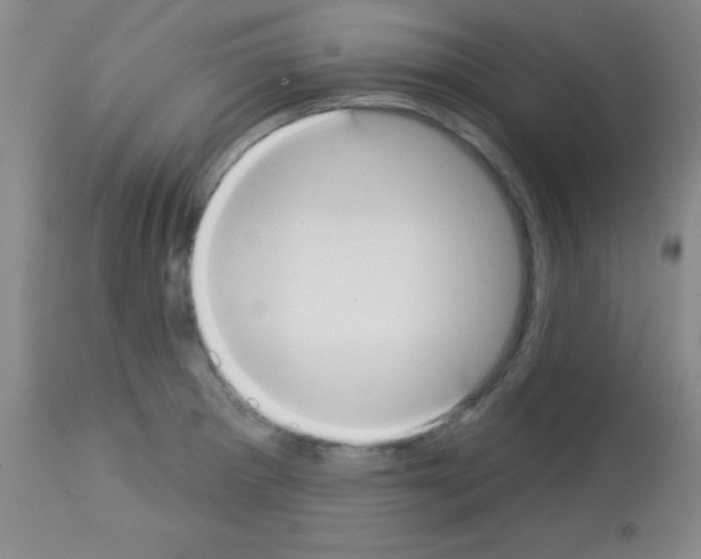 X0000113061281200910091134