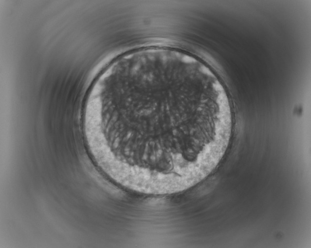 X0000113061283200910091134