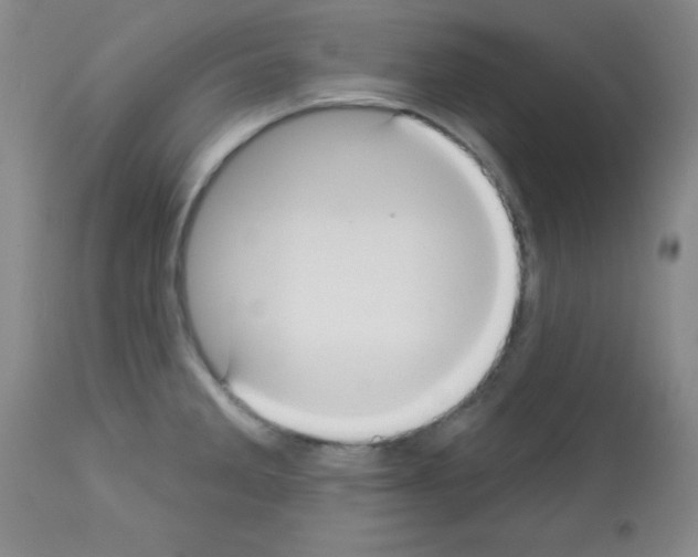 X0000113061285200910091134